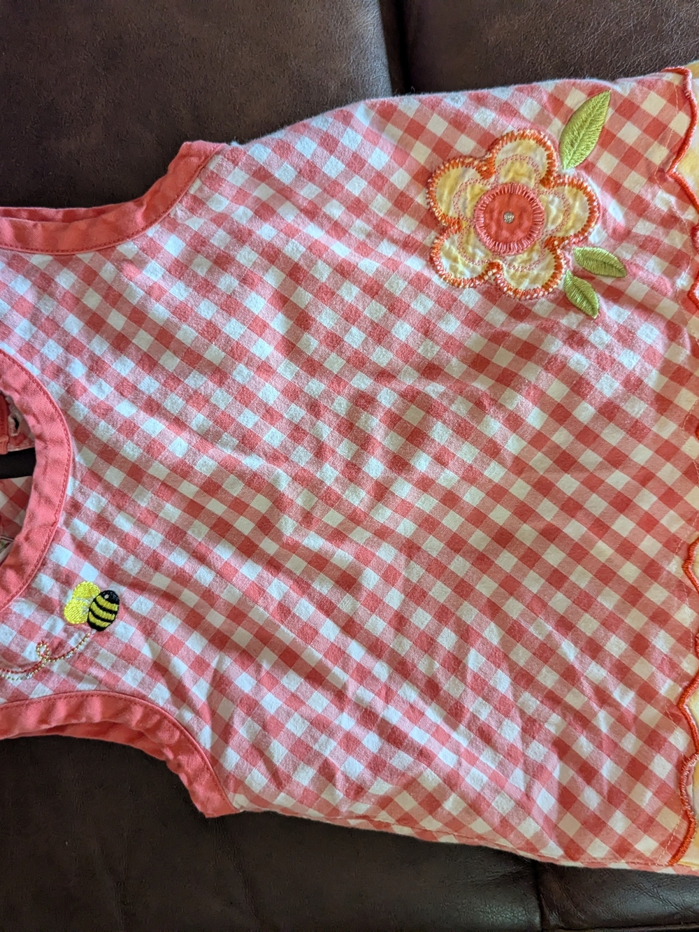 Pink Gingham Baby Dress with Floral & Bee Appliqués